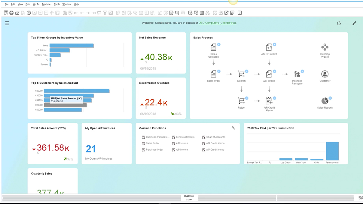 Screenshot_Working with SAP Business One HANA Analytics